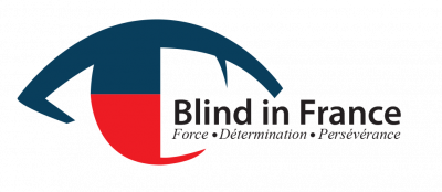 logo-blind-in-france force determination perseverance
